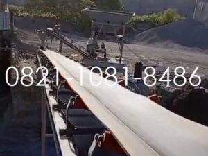 aspal feeder system